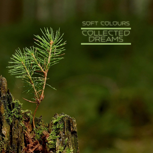 特级黄色一级片
